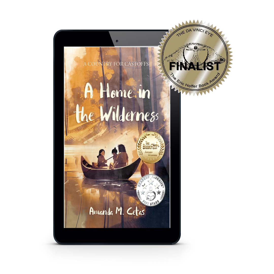 A Home in the Wilderness, eBook